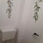 Doris アパート